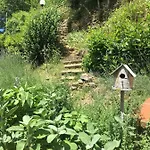 Casa Al Riccio * Capolona
