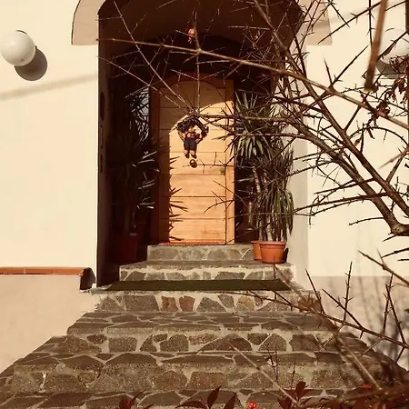 Casa Al Riccio Apartment Capolona