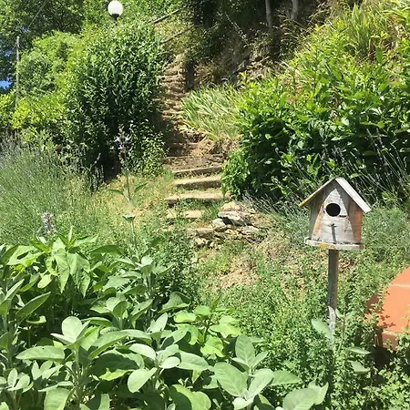 Casa Al Riccio * Capolona